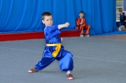 Кубок Удмуртии по ушу 18.05.2014