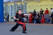 Кубок Удмуртии по ушу 18.05.2014