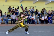 Кубок Удмуртии по ушу 18.05.2014