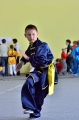 Кубок Удмуртии по ушу 18.05.2014