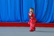 Кубок Удмуртии по ушу 18.05.2014