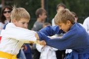 123Командный Чемпионат УР по дзюдо _1