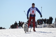 123Кубок Удмуртии в гонках на ездовых собаках 14.03.2015