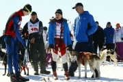 123Кубок Удмуртии в гонках на ездовых собаках 14.03.2015