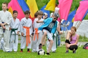 123Спортивно-массовый праздник «Путь мяча» 01.06.2015