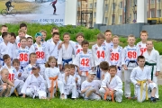 123Спортивно-массовый праздник «Путь мяча» 01.06.2015