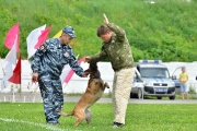 123Спортивно-массовый праздник «Путь мяча» 01.06.2015