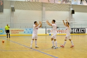 МФК Прогресс – КПРФ 01.11.2013