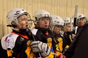 123Хоккей. Кубок Фёдора Тютина 17-20.04.2014