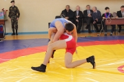 Всероссийский турнир по вольной борьбе памяти С. Борина