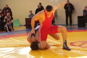 Всероссийский турнир по вольной борьбе памяти С. Борина