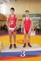 Всероссийский турнир по вольной борьбе памяти С. Борина