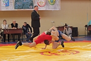 Всероссийский турнир по вольной борьбе памяти С. Борина