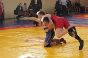 Всероссийский турнир по вольной борьбе памяти С. Борина