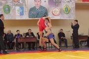 123Всероссийский турнир по вольной борьбе памяти С. Борина
