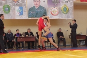 Всероссийский турнир по вольной борьбе памяти С. Борина