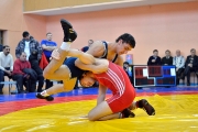 123Всероссийский турнир среди юношей и девушек по вольной борьбе 21.02.15