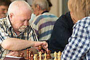 chess (21)