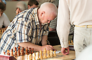 chess (23)