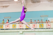 123Всероссийский турнир по спортивной гимнастике, посвященный памяти В.П. Кренева и Р.Н.Назарова 12.05.2016