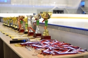 Кубок Удмуртской республики по фигурному катанию 11-12.01.2014