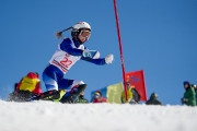 Чемпионат УР по горым лыжам